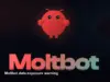 Moltbot's viral surge exposes AI agent data risks now