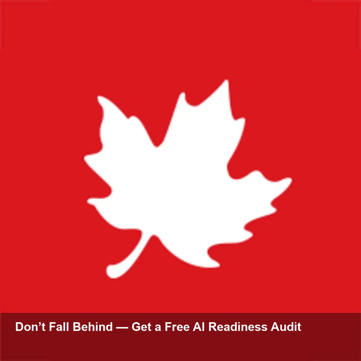 Wolf Pack CEO Launches B.A.D. AI Consulting Suite Now