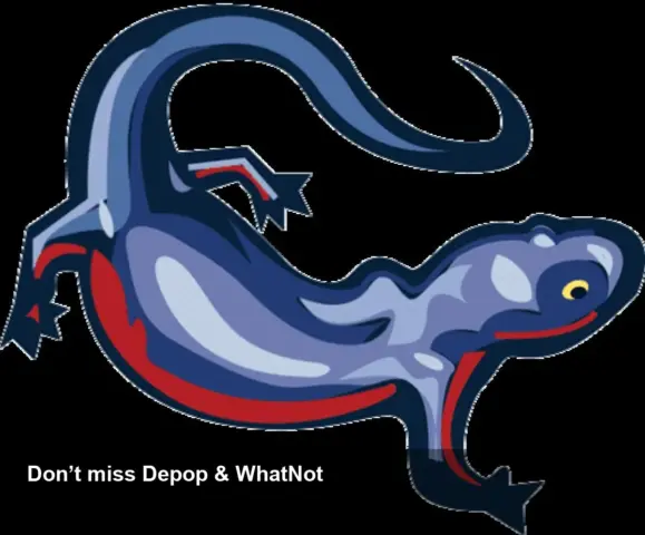 Sidekick Tools expands to Depop and WhatNot